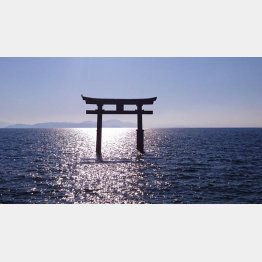 白鬚神社の鳥居（Ｃ）日刊ゲンダイ