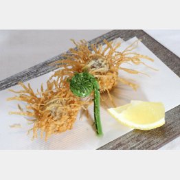 合う酒＝ビール（Ｃ）日刊ゲンダイ