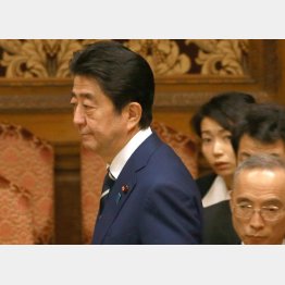 トカゲの尻尾切りでは済まされない（Ｃ）日刊ゲンダイ