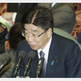 ＳＥの実態を知っているのか（加藤厚労相）／（Ｃ）日刊ゲンダイ