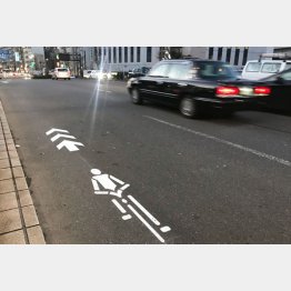 これが道路の自転車ナビマーク（Ｃ）日刊ゲンダイ