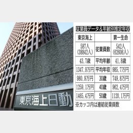東京海上ＨＤと第一生命ＨＤ（Ｃ）日刊ゲンダイ