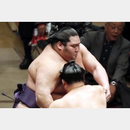 大奄美（Ｃ）日刊ゲンダイ