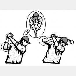 イラスト・ドラゴン２