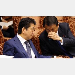 信頼なんてクソくらえ（Ｃ）日刊ゲンダイ