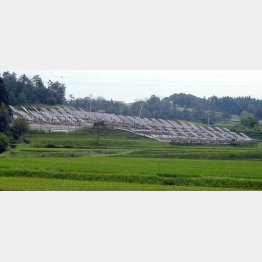 設置率のトップは佐賀県、売電は期待できない（Ｃ）日刊ゲンダイ