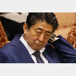 もうムリだ（Ｃ）日刊ゲンダイ