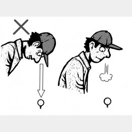 イラスト・ドラゴン２