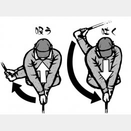 イラスト・ドラゴン２