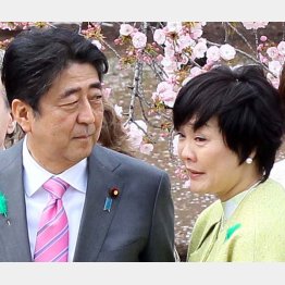 疑惑の首相では抜け出せない（Ｃ）日刊ゲンダイ