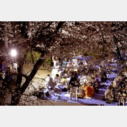 新人を使えばパワハラ（Ｃ）日刊ゲンダイ