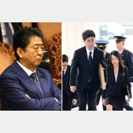 国会に入る佐川前国税庁長官（右）／（Ｃ）日刊ゲンダイ