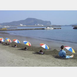 波音を聞きながらリラックス（提供写真）