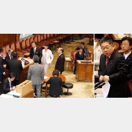 小池議員（右）の鋭い追及で審議が中断／（Ｃ）日刊ゲンダイ