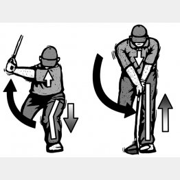 イラスト・ドラゴン２