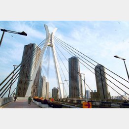 佃島の高層マンション群（Ｃ）日刊ゲンダイ