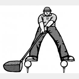 イラスト・ドラゴン２