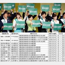 公約はウソだった（Ｃ）日刊ゲンダイ