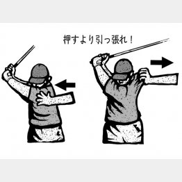 イラスト・ドラゴン２