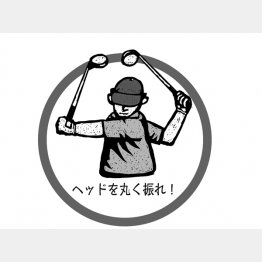 イラスト・ドラゴン２