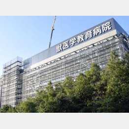 狭き門をすり抜けても…（Ｃ）共同通信社