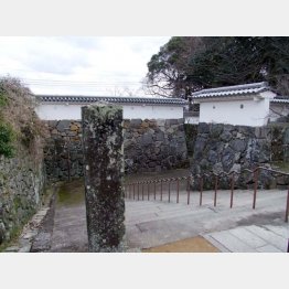 玖島城跡の石垣（Ｃ）日刊ゲンダイ