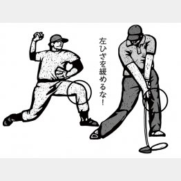 イラスト・ドラゴン２