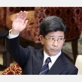 証人喚問でも安倍夫妻を守ったが（Ｃ）日刊ゲンダイ