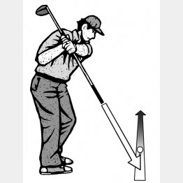 イラスト・ドラゴン２