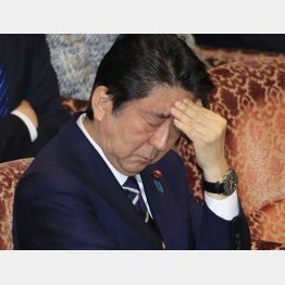 土俵際だ（Ｃ）日刊ゲンダイ