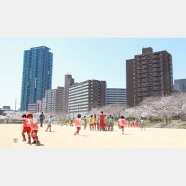 一戸建てより深刻（写真はイメージ）／（Ｃ）日刊ゲンダイ