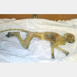 「オールド・ミネアポリス」のフェイスブックから