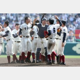 優勝を決めた大阪桐蔭ナイン（Ｃ）日刊ゲンダイ