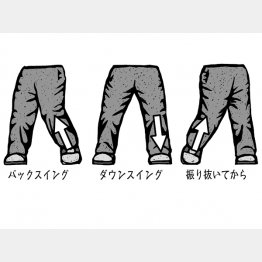 （イラスト・ドラゴン２）