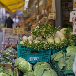 高かった野菜はどこへ？（Ｃ）日刊ゲンダイ