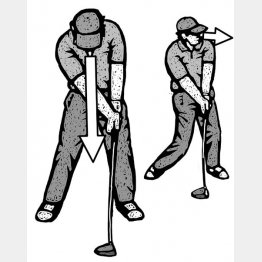 イラスト・ドラゴン２