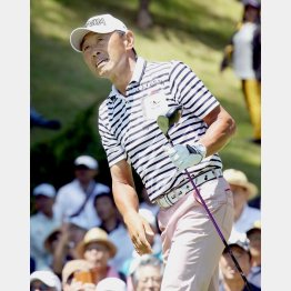 針の穴を通すような優れたコントロール（Ｃ）日刊ゲンダイ