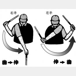 イラスト・ドラゴン２