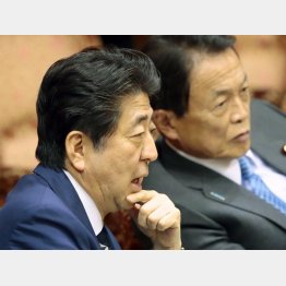 悪魔的な２トップ（Ｃ）日刊ゲンダイ