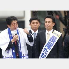 バリバリの安倍チルドレン（Ｃ）日刊ゲンダイ