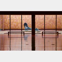 グラントワ（Ｃ）日刊ゲンダイ