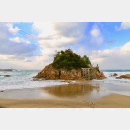 衣毘須神社（Ｃ）日刊ゲンダイ