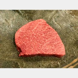 人気急上昇中（Ｃ）日刊ゲンダイ