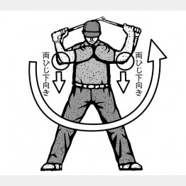 （イラスト・ドラゴン２）