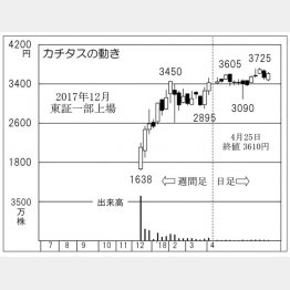 カチタス（Ｃ）日刊ゲンダイ