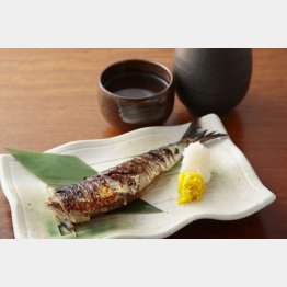 合う酒＝生酛純米（Ｃ）日刊ゲンダイ