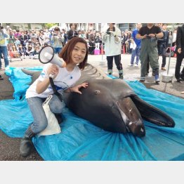 メガマウスザメ（Ｃ）鈴木啓司