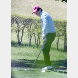 ゴルフで息抜きなんていい気なもんだ（Ｃ）日刊ゲンダイ