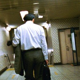 “ストロング系”が好きな人は脳が疲れている？（Ｃ）日刊ゲンダイ