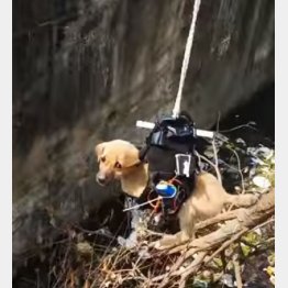 （写真はラジさんのユーチューブより）